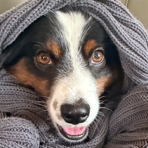 Maggie bundled in a knit blanket