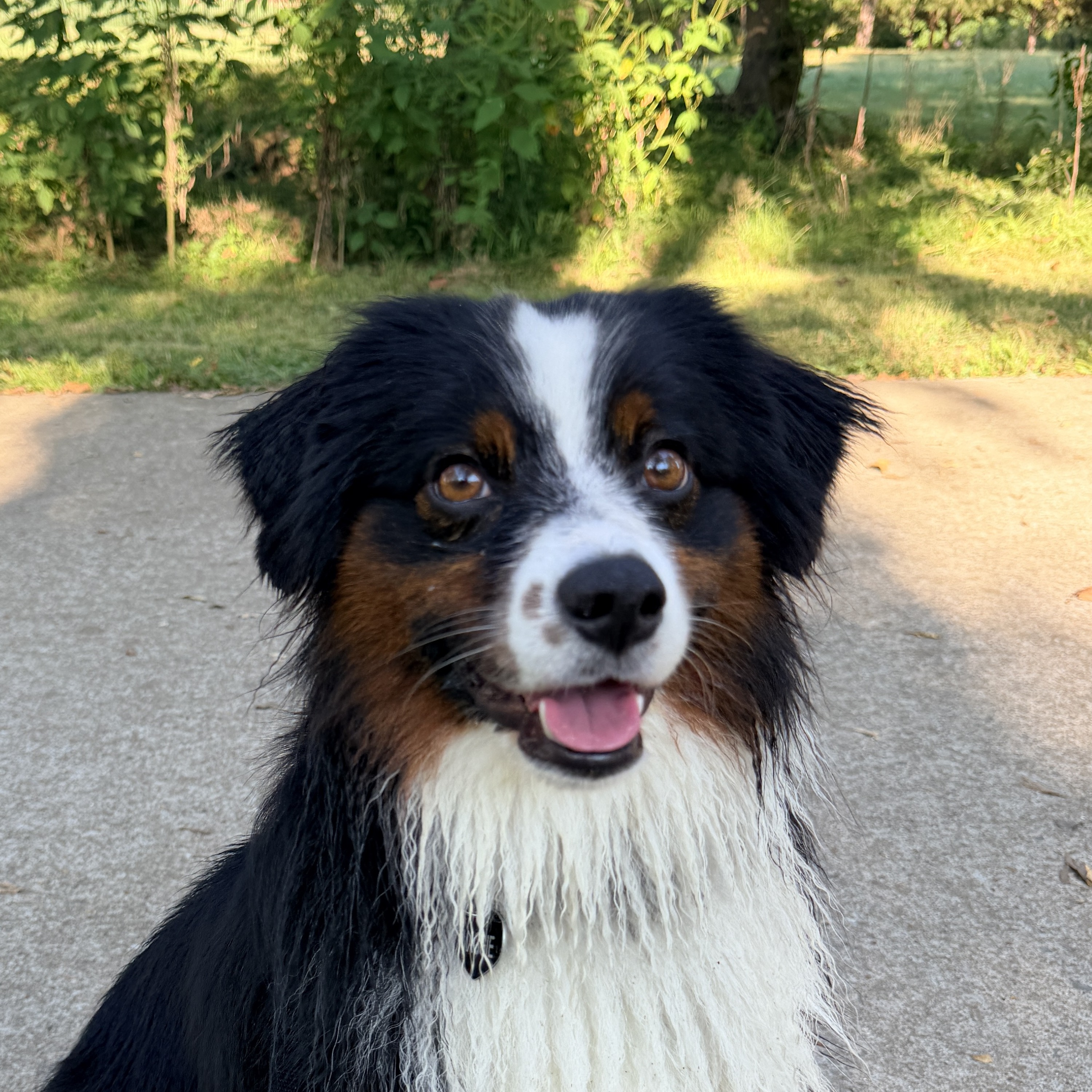 Maggie smiling on a trail path