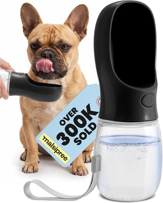 Malsipree Portable Water Bottle