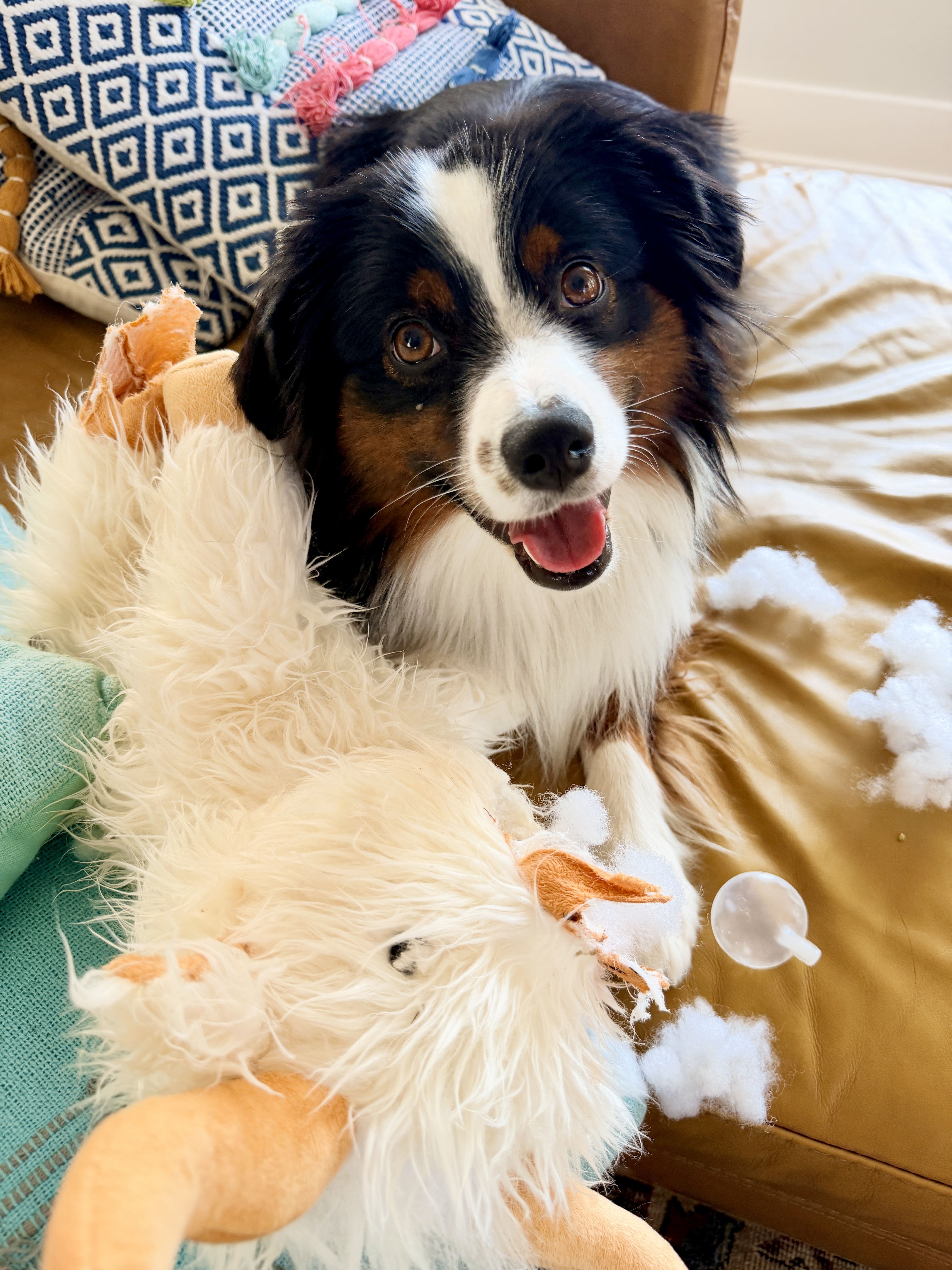 Maggie smiling on the bed with her squeaky duck toy